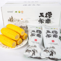 (New corn) Deleyuan traditional cultivation corn box northeast yellow glutinous corn fresh glutinous corn