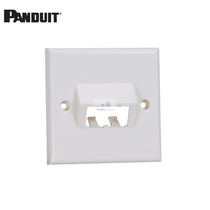 Pan-Da PANDUIT Panel Type 86 British Double-Mouth Oblique Four-Mouth Network Information Module Jumper Plug