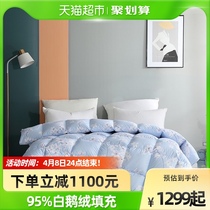 Waterstar Home Textile antibacterial 95 white goose down quilt with warm winter thickened quilt with core double quilt by the down quilt core
