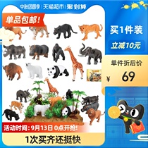 Newcastle Wildlife Tiger Lion Elephant Genuine Simulation Animal Set 1 Set 3-6 Years Old Boys and Children Gifts