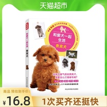 Poodle and dog live together Practical version of dog feeding skills manual Poodle Teddy Xinhua Bookstore