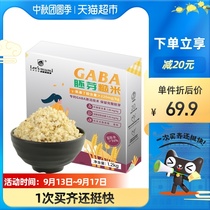 Happy food wheat GABA germ rice brown rice gamma aminobutyric acid 12kg × 1 box of coarse grain rice sleep non-melatonin