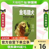 Golden Retrievers Play and Training Pet Dog Appreciation and Training Series