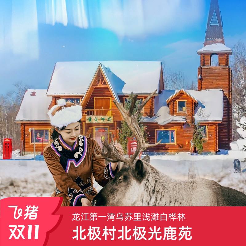 追寻漠河的极地梦幻之旅:北极村、北红村与极光的三天两夜-旅行团-淘宝好物网