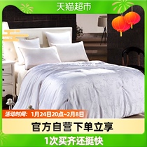 Antarctic silk quilt spring and autumn winter four seasons quilt core student household single and double soft warm bedding 2 meters