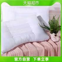 Water Star Products Thyme Cassiae Pillow Core Single Double Pillow Pair of Fitted Adults Home Cervical Spine Pillow