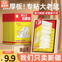 Xinjiang strong sticky mouse board glued big mouse household increase and thicken a nest end mouse paste sticky board