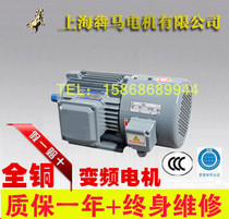 Frequency conversion speed regulation motor 7 5kw three-phase asynchronous motor YVP132S2-2 pole frequency conversion motor speed regulation
