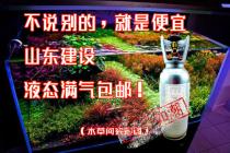 (Water and grass room) 4 liters Shandong construction carbon dioxide cylinder full gas grass cylinder sea cylinder pure copper liquid co2