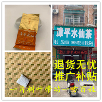 Zhangping Shui Xian Tea Discount 2022 Chunxin Tea Intense Aroma Type 500g Tea Farmers Direct Sale Pillon Agriculture