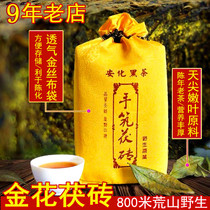 Black tea Hunan Anhua Golden Flower Fu Brick Tea Anhua Black Tea Authentic Anhua Super Tea Fu Tea Hand Building Fu Brick Tea