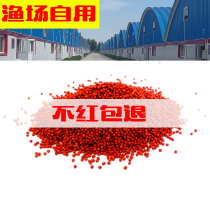 Blood parrot fish feed God of wealth parrot fish fry special color and red feed Rohan increase head fish food