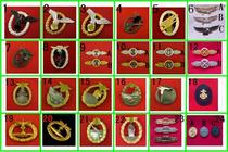39 edition of special price Air Badge Flight Chest Badge Sailing Medal de Chapter