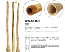 Derreterre Teak Teak Dijrido Professional Grade Didgeridoo Australian Musical Instrument CDEF Tetronic