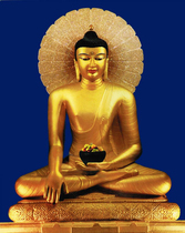 Bodhi Gaya Zhengjue Pagoda Shakyamuni Buddha and other body like Sakyamuni Buddha 25-year-old body like 35-year-old statue