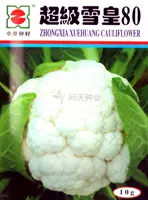 Super Snow Imperor 80 Капустная цветная цветная капуста Четыре сезона могут быть в горшках летом и осенний овощной сад вкусные растительные семена 孑