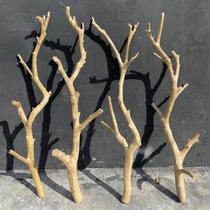Dry branch log branch art dry branch dead branch dead wood tree trunk bird frame shape wall hanging hanger ceiling branch decoration