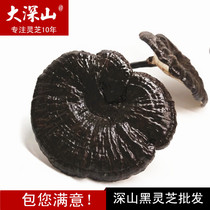 North Guangdong Shaoguan Zizhi 500 grams of whole Ganoderma lucidum Linzhi black Ganoderma lucidum semi-wild new goods sweet and fragrant not bitter
