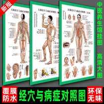 Traditional Chinese Medicine Health Moxibustion Point Map Acupuncture Meridian Whole Body Massage Household Human Meridian Points and Disease Control Wall Chart