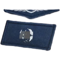 The clerk grade identifies the plethora of chest markers.