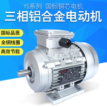 Factory direct sales YS6312 6322 6314 6324 aluminum shell miniature three-phase motor GB pure copper motor