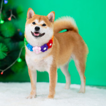 Pets Puppy Item Circle Neck Chai Dog Neck Necklace Decorated Collar Braided Puppy Neck Ring New Year Pet Ornaments