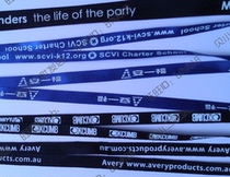 Lanyard printing LOGO printing from 1000 pieces