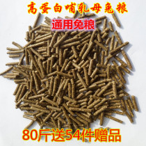 Rabbit Feed Food Food Food Health Universal Nutrition Meme Fresh Young Breed Rabbit Pet Rabbit Grain