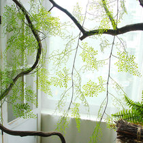 Simulation of black osteomanum green plant Artisanal Intertwining Vine Fern Fern Plant Fake Small Green Leafy Iron Thread Fern Decoration Build Up View