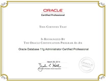 sql server installation oracle Emergency problem handling Technical consulting Backup database recovery maintenance