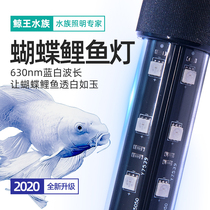 Butterfly koi fish tank light LED light waterproof super bright diving light small lighting Blue White Light