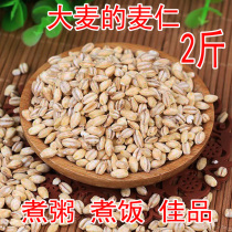 2 catty of new peeled barley kernel barley rice made congee used in farmhouse Food 5 cereals Cereals Coarse Cereals Boiled Porridge Steamed Rice