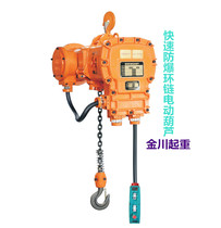  Hook explosion-proof ring chain electric hoist Special explosion-proof running electric hoist 1 ton 2T3 tons 5 tons hoist