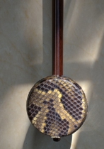 Musen musical instrument old sour branch wood Gaohu leader Gaohu musical instrument professional Guangdong Gaohu Yuequ collection level