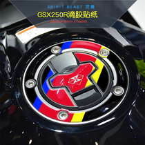 GSX250R fishbone patch modification GW250-A fuel tank cover decal for Suzuki DL250 key ring patch DR300