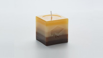 21 Brown green candle cake Beijing Shanghai Jiangsu Guangzhou Guangzhou Hangzhou Wuxi Tianjin 1 2 3 5 pounds