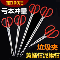 Finless eel holder eel fitter anti-slip and catch-up for sea deity Anti-Slacker Pliers Lengthening Catch Crab Clip Catch Lobster Tool