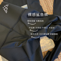 DHR 90% shark pants outside wearing underpants black elastic tight body without marks slim leg pressure yoga pants female INS