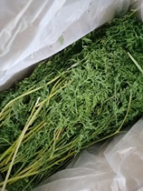 Ball Jam NEW DRYING CARROTS CHERRY SEEDLINGS RABBIT DRAGON CAT GUINEA PIG HEALTH CARE PASTA SNACKS GRINDING AID DIGESTION