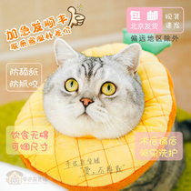 Universal pet sterilization Elizabeth ring surgical collar anti-licking cat dog collar adjustable