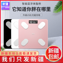 Xinjiang electronic scale Weight scale Household accurate and durable small smart Bluetooth human body charging model body fat scale