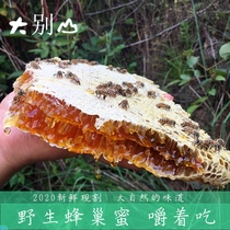 Dabie Mountains year cut one of the comb honey pure wild soil comb honey natural food munch them 2kg