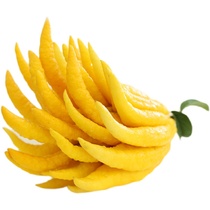 Big bergamot) Jinhua bergamot fresh bergamot bergamot super large bergamot fresh fruit for fresh pick