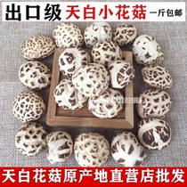 Farmhouse day white flower mushroom dry goods new wild mushroom specialty small shiitake mushroom Xiangru basswood mushroom 500g