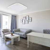 Philips Peacock Suction Dome Light Square 70W