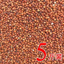 Red sorghum rice shelled without peeling red sorghum red sorghum small pet food Fed pigeon feed miscellaneous grains 5kg