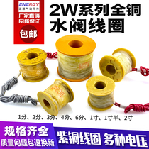 All copper solenoid valve 2W water valve coil 220V24V12V 2 minutes 4 minutes 6 minutes 1 inch 2 1 inch half 2 inches