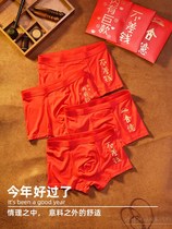 Japanese Tidal Male Gifts Red Modell Underwear Youth New Year Knot Wedding Husbands Life Year Great Red Heer
