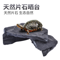 Turtle climbing frame tortoise drying platform natural stone climbing platform avoiding the house sun-backed stone head deep water turtle rest platform turtle staircase