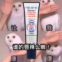 Super tender American Rosebud Salve rose flower Cream Lip balm tube lip balm moisturizing and moisturizing